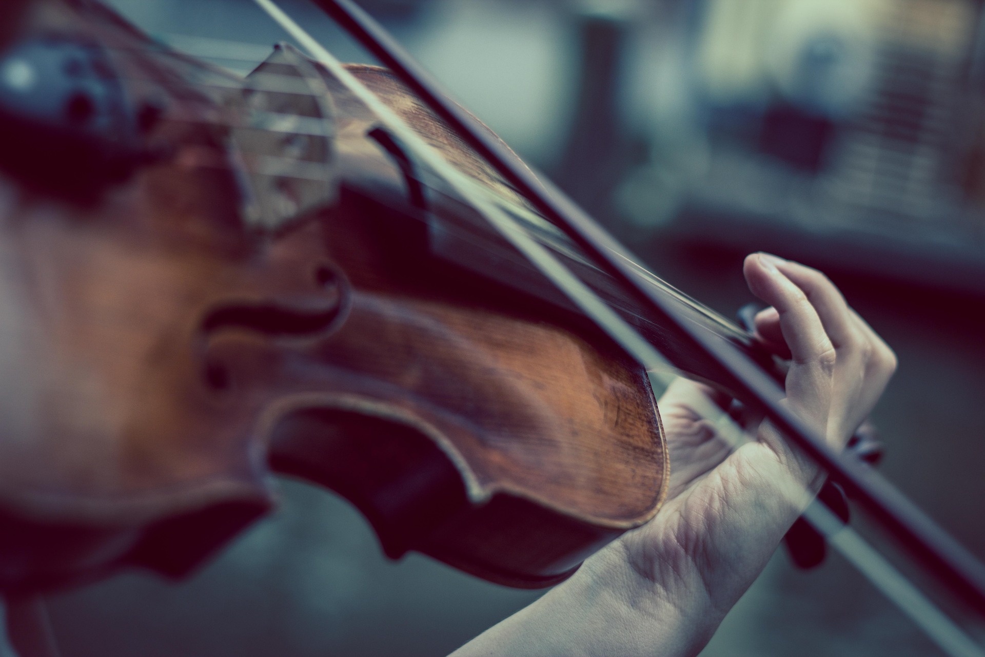 niekverlaan violin 374096 1920